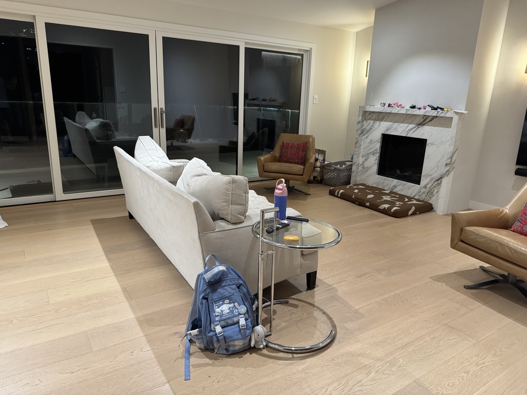 Living Room Photo Original